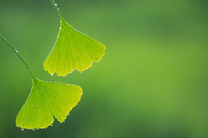 �S�̏��̖�����