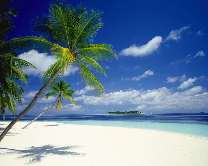 ���ȉ��v�@���a�̉��P