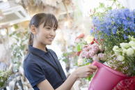 �K����E�l���f�f